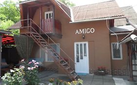 Amigo Sovata